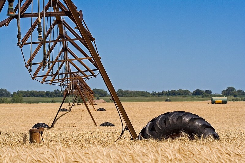 A long wheeled irrigation arm spanning a wheat field under a blue sky