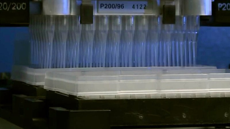 Close-up of an automated liquid-handling machine lowering a row of pipette tips into a tray of samples