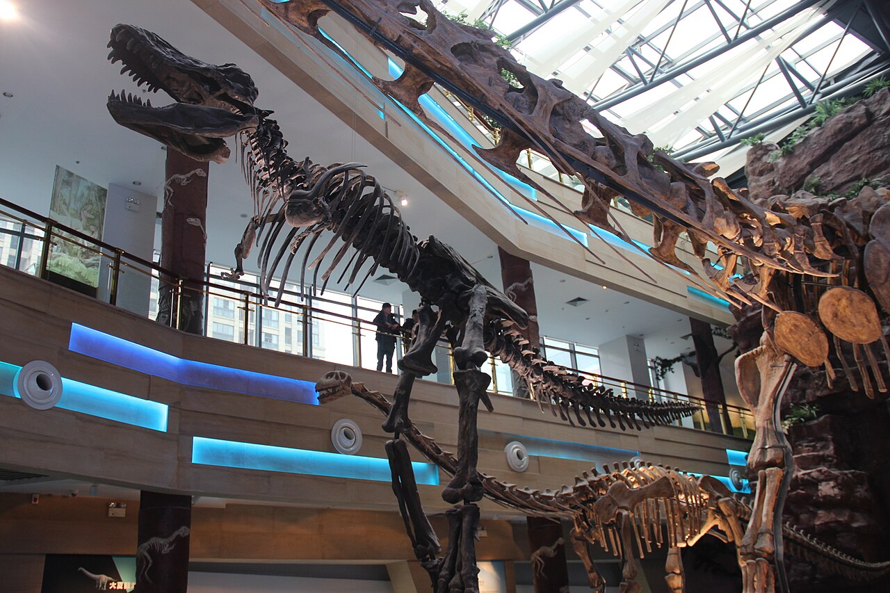 A mounted Tyrannosaurus rex skeleton in a museum hall, jaws open above visitors.