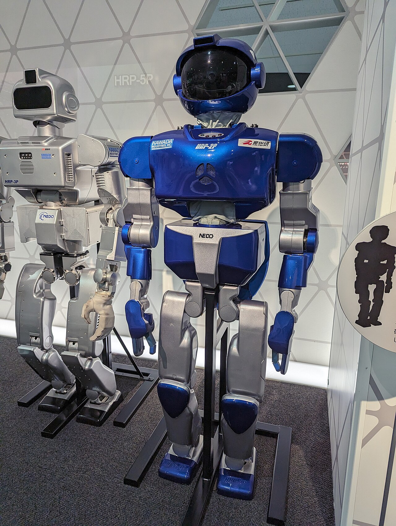 Two blue-and-silver humanoid research robots standing upright on two legs in a museum display.