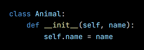 Python code from the lesson, beginning class Animal: