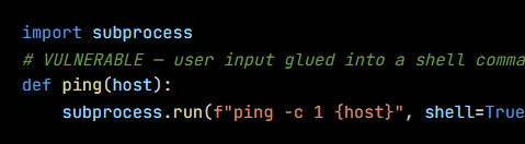 Python code from the lesson, beginning import subprocess